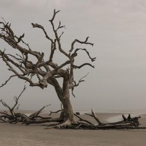 收聽Eddy Supriadi的Aku Disini歌詞歌曲