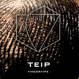 收聽TEIP的Fingertips歌詞歌曲
