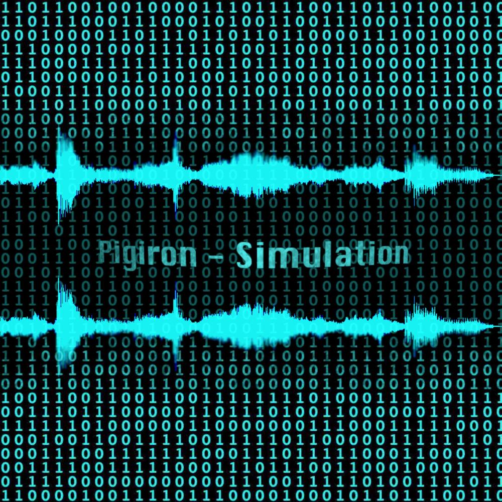 Simulation