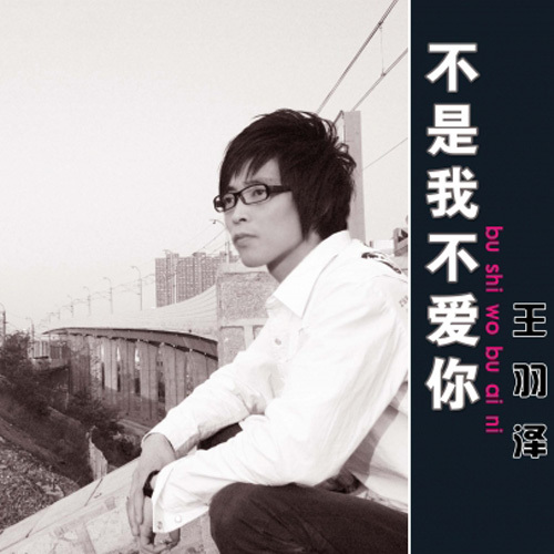 不是我不爱你（钢琴版） (完整版)