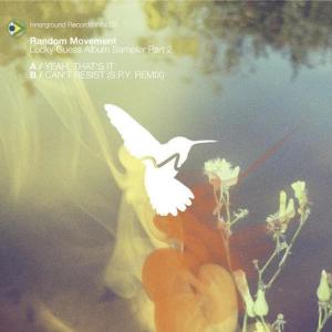 Album Lucky Guess Album Sampler Part 2 from Random Movement