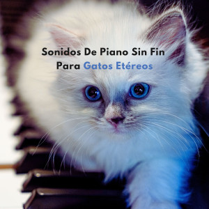 Album Sonidos De Piano Sin Fin Para Gatos Etéreos oleh Piano Suave Relajante