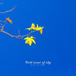 Album Cool scent of sky from Han Jueun