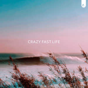 Album Crazy Fast Life from Emmett L. White