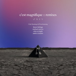 Album C'est Magnifique Remixes from 