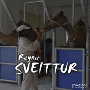 Listen to Sveittur song with lyrics from Reynir