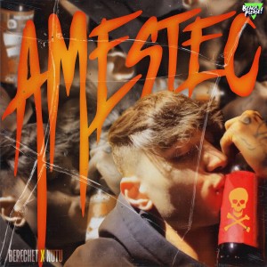 Listen to Amestec song with lyrics from Berechet