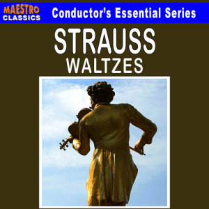 Nüremberg Symphony Orchestra的專輯Strauss: Waltzes - The Essential Collection