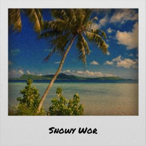 Album Snowy Wor from Various