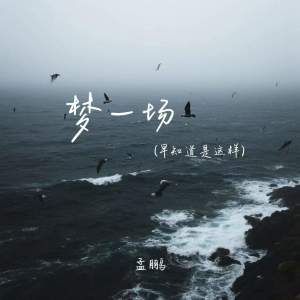 Listen to 梦一场 (早知道是这样) song with lyrics from 孟鹏