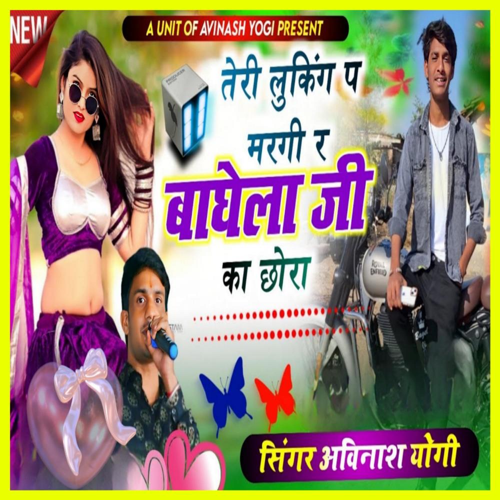 Teri Looking Pe Maragi Re Baghela Ji Ka Chora
