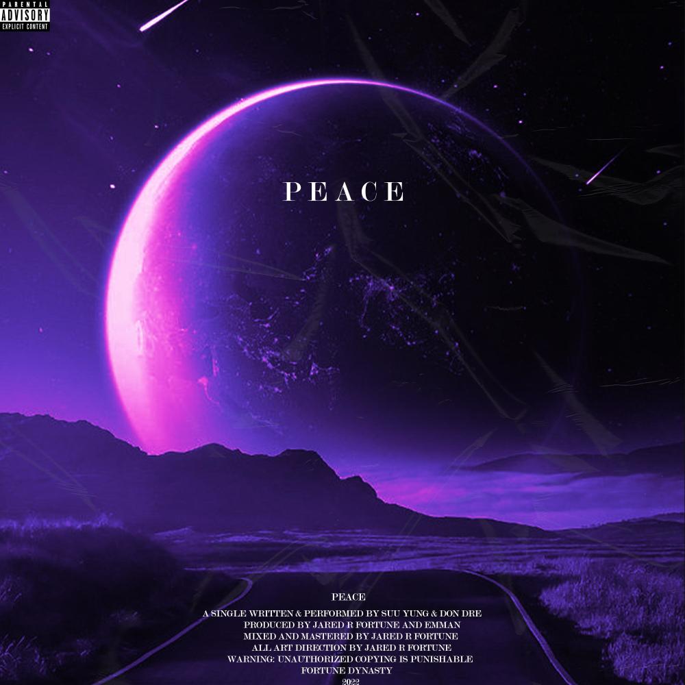 Peace (feat. Suu Yung & DON DRE) (Explicit)