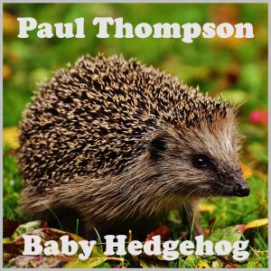ดาวน์โหลดและฟังเพลง Light a Little Fire พร้อมเนื้อเพลงจาก Paul Thompson