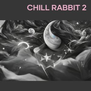 Chill Rabbit 2