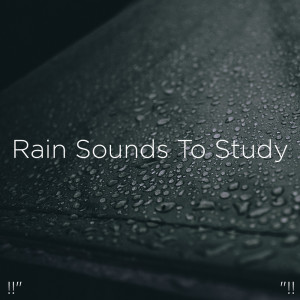 收聽Meditation Rain Sounds的Rain Noise歌詞歌曲