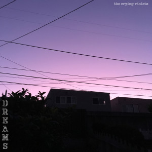 收聽The Crying Violets的Dreams歌詞歌曲
