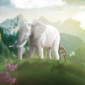 default playlist img