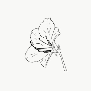 收聽Oatmello的Biarritz歌詞歌曲