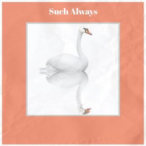 Various Artists的專輯Such Always