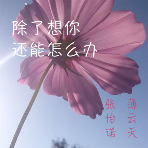 Dengarkan lagu 除了想你还能怎么办 nyanyian 薄云天 dengan lirik