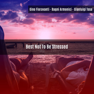 Album Best Not To Be Stressed (Bagni Armonici) from Gino Fioravanti