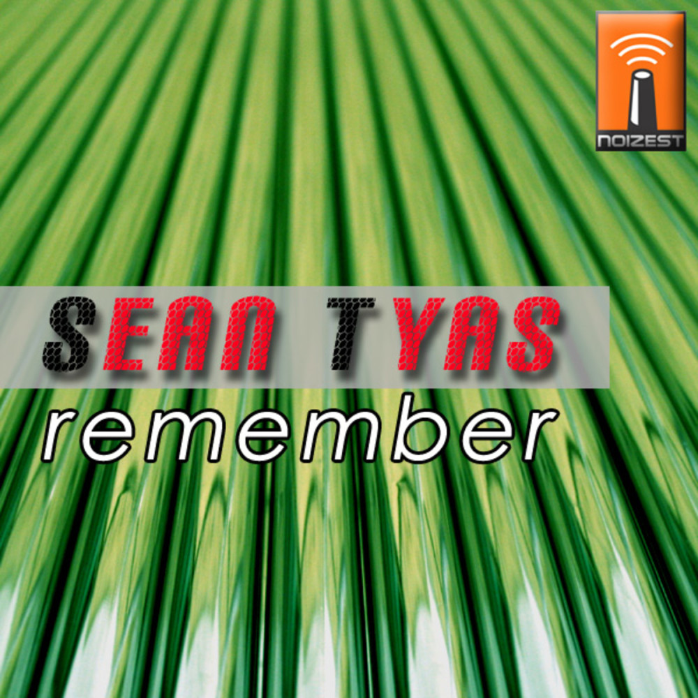 Remember (Nisona Rmx)