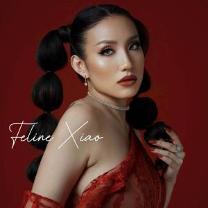 Dengarkan Peng you (Remix) lagu dari Feline Xiao dengan lirik