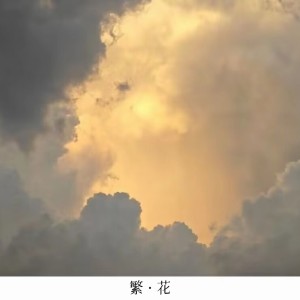 Listen to 繁·花 song with lyrics from 大葱cedar