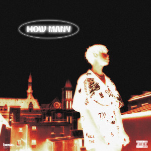Anys的专辑How Many (Explicit)