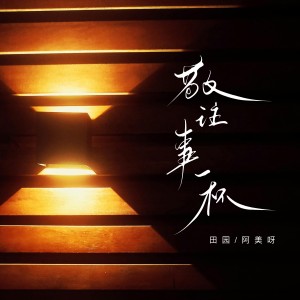 Listen to 敬往事一杯 song with lyrics from 田园