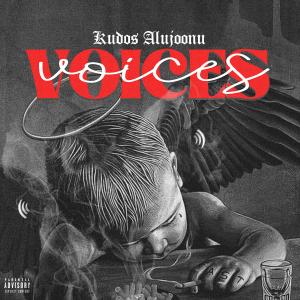 Listen to Voices (Explicit) song with lyrics from Kudos Alujoonu
