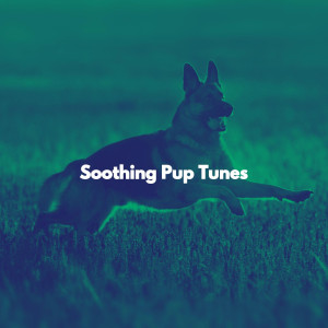 Smooth Jazz Lounge的專輯Soothing Pup Tunes
