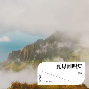 Listen to 大城小爱 (cover: 王力宏) (完整版) song with lyrics from 夏琭