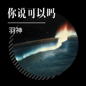 Listen to 你说可以吗 song with lyrics from 羽神