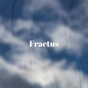Album Fractus oleh Various