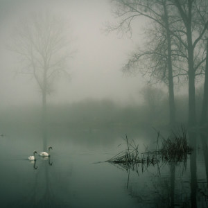 Listen to Sunny Reflections song with lyrics from Musica Relajante