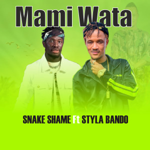 Album MAMI WATA from SNAKE SHAME