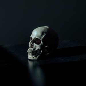 Album Parasomnia 2.0 from 