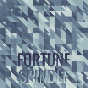 Album Fortune Spindle from Various