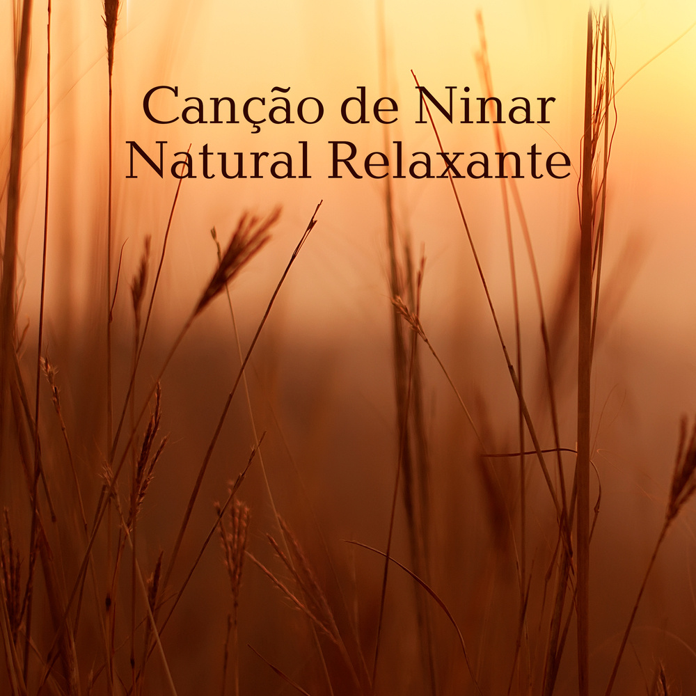 Canção de Ninar (Sons de Pássaros)