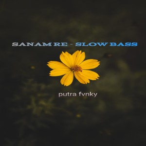 Listen to Sanam Re - Slow Bass song with lyrics from Putra Fvnky