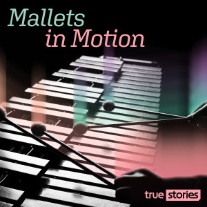 Listen to Opening Up song with lyrics from Anthony Holt