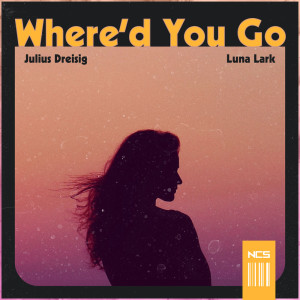 ดาวน์โหลดและฟังเพลง Where'd You Go พร้อมเนื้อเพลงจาก Julius Dreisig