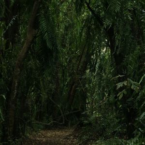 Dengarkan lagu Breathing Exercises nyanyian Deep Sleep dengan lirik