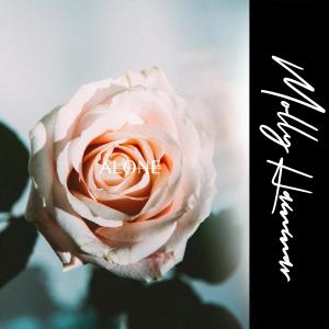 ดาวน์โหลดและฟังเพลง Alone พร้อมเนื้อเพลงจาก Molly Hammar