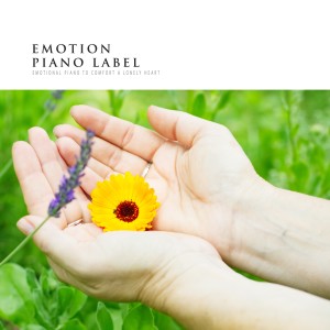 อัลบัม Emotional Piano To Comfort A Lonely Heart ศิลปิน Min Ti
