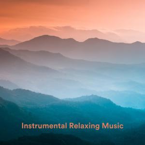 Chris Snelling的專輯Instrumental Relaxing Music