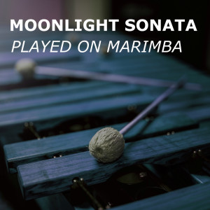 Listen to Moonlight Sonata (Piano Sonata No. 14 in C♯ minor - Quasi una fantasia) (Marimba Version) song with lyrics from Moonlight Sonata