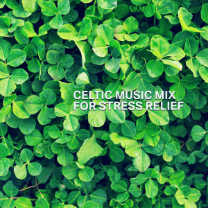 ดาวน์โหลดและฟังเพลง Celtic Flute Meditation Music พร้อมเนื้อเพลงจาก World of Celtic Music