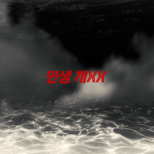Album 인생 개 XX (Explicit) from $himmy Boy